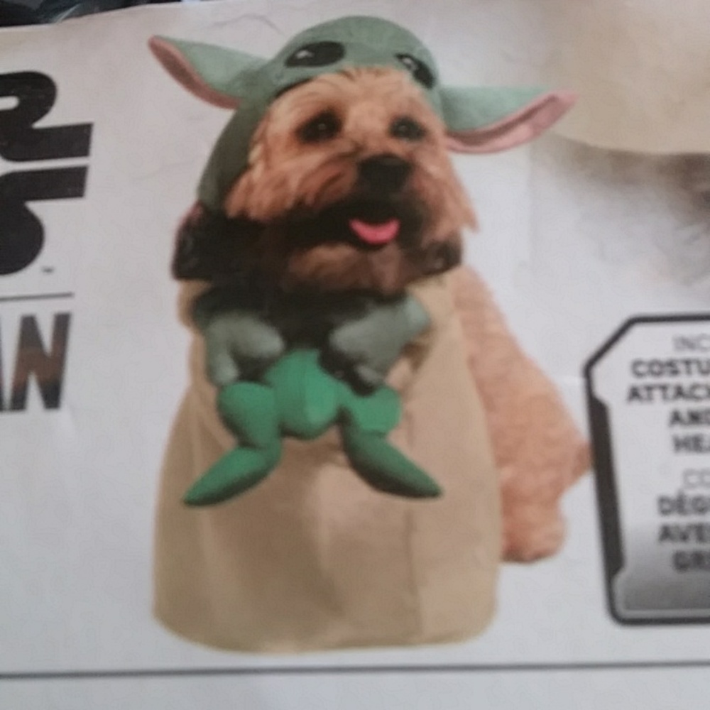 Mandalorian Medium Dog Halloween Costume